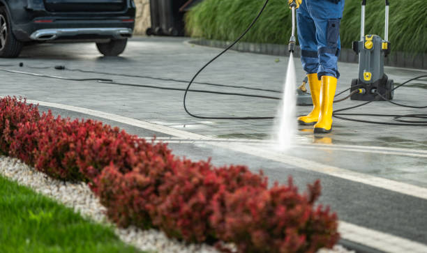 Best Driveway Pressure Washing  in Wildomar, CA